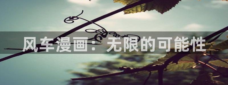 好看的51漫画在线免费观看入口：风车漫画：无限的可能性