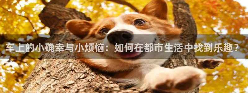 51漫画画下拉式全集免费：车上的小确幸与小烦恼：如何在都市生活中找到乐趣？