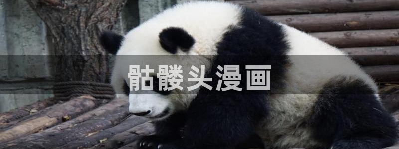 bl51漫画网址：骷髅头漫画