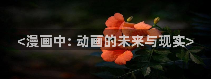 优选51漫画免费51漫画：<漫画中: 动画的未来与现实>