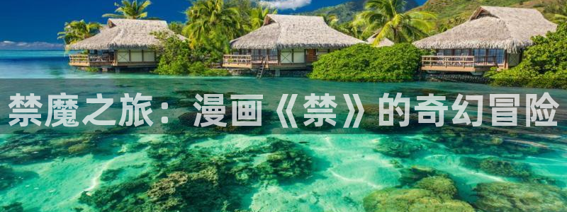 h51漫画免费观看：禁魔之旅：漫画《禁》的奇幻冒险