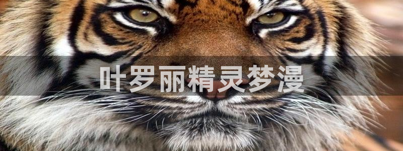 漫画bl51漫画：叶罗丽精灵梦漫