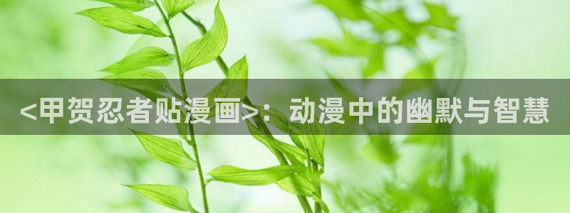 51漫画漫画小说：<甲贺忍者贴漫画>：动漫中的幽默与智慧