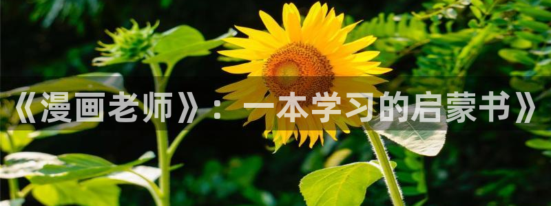 51漫画漫：《漫画老师》：一本学习的启蒙书》