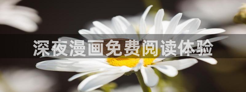 51漫画漫画画免费读漫画下拉式：深夜漫画免费阅读体验